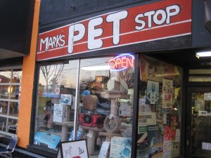 Updated Pet Store Ban Initiated in San Francisco Pets Families.com